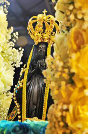 nsaparecida